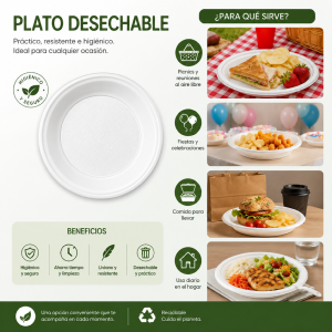 .PLATO LLANO 22CM -100 UD-