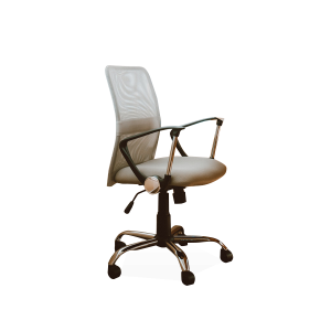 Beige Working Chair With Armrest